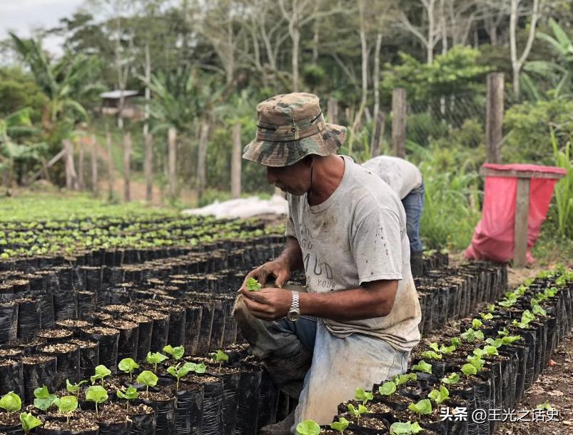 巴西踢球随心所欲,巴西除了踢球还会什么
