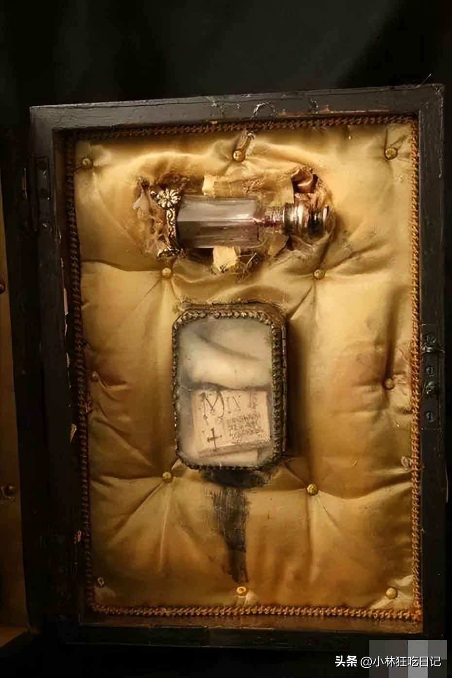 英国神秘生物博物馆,英国神秘生物