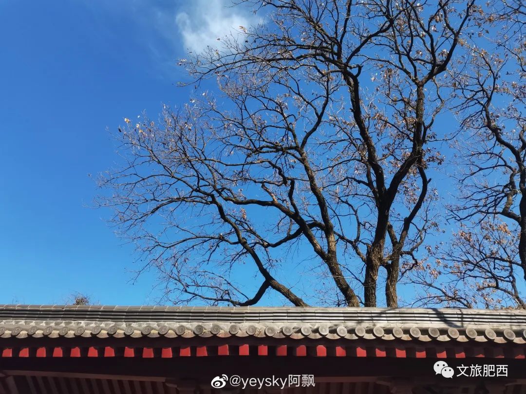 原来，在社交平台中，肥西的真实风景是这样的