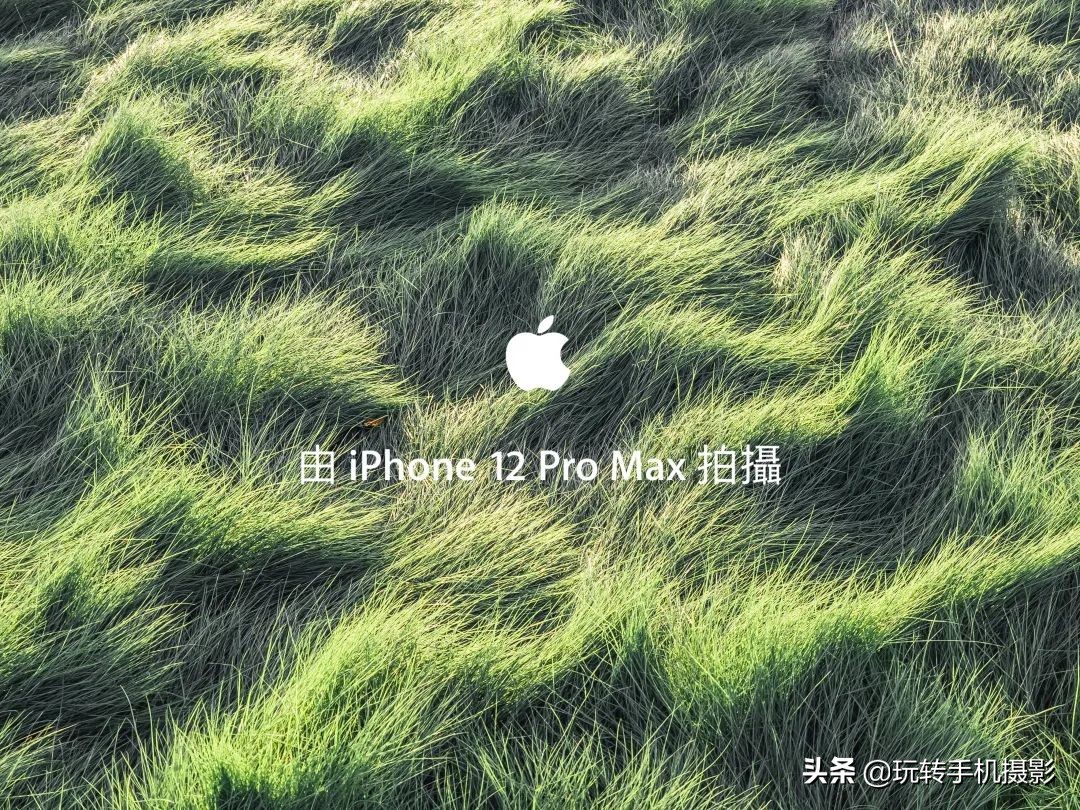 朋友圈里晒图,为什么发朋友圈图片颜色变浅了