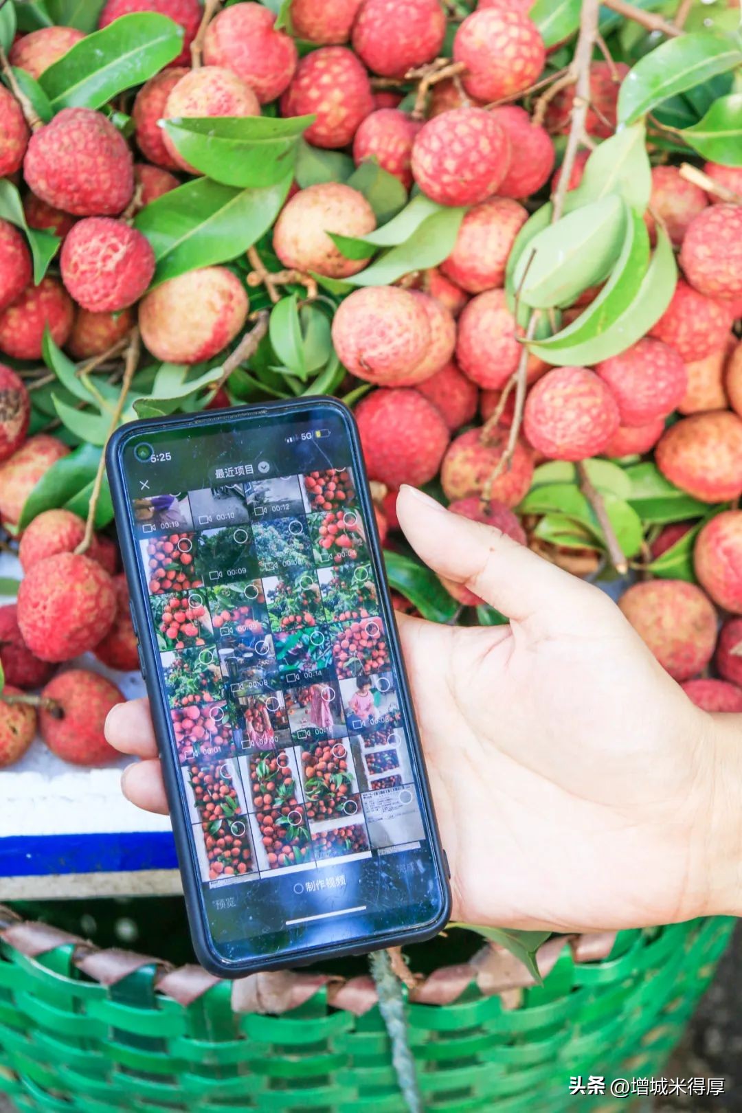 增城有什么自然风光和特产,增城著名的特色文化有哪些