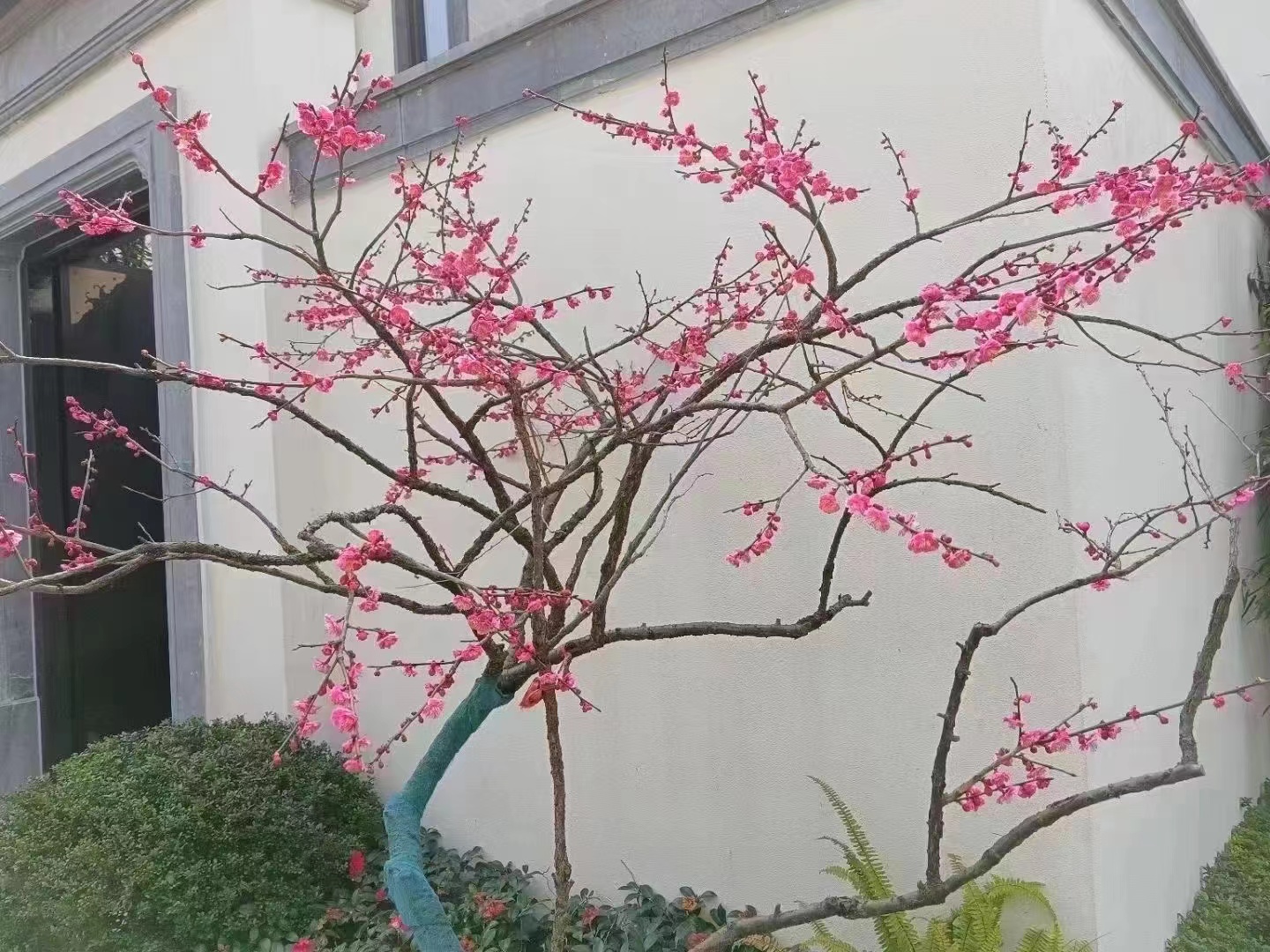 做理财技巧,做好财务的要点