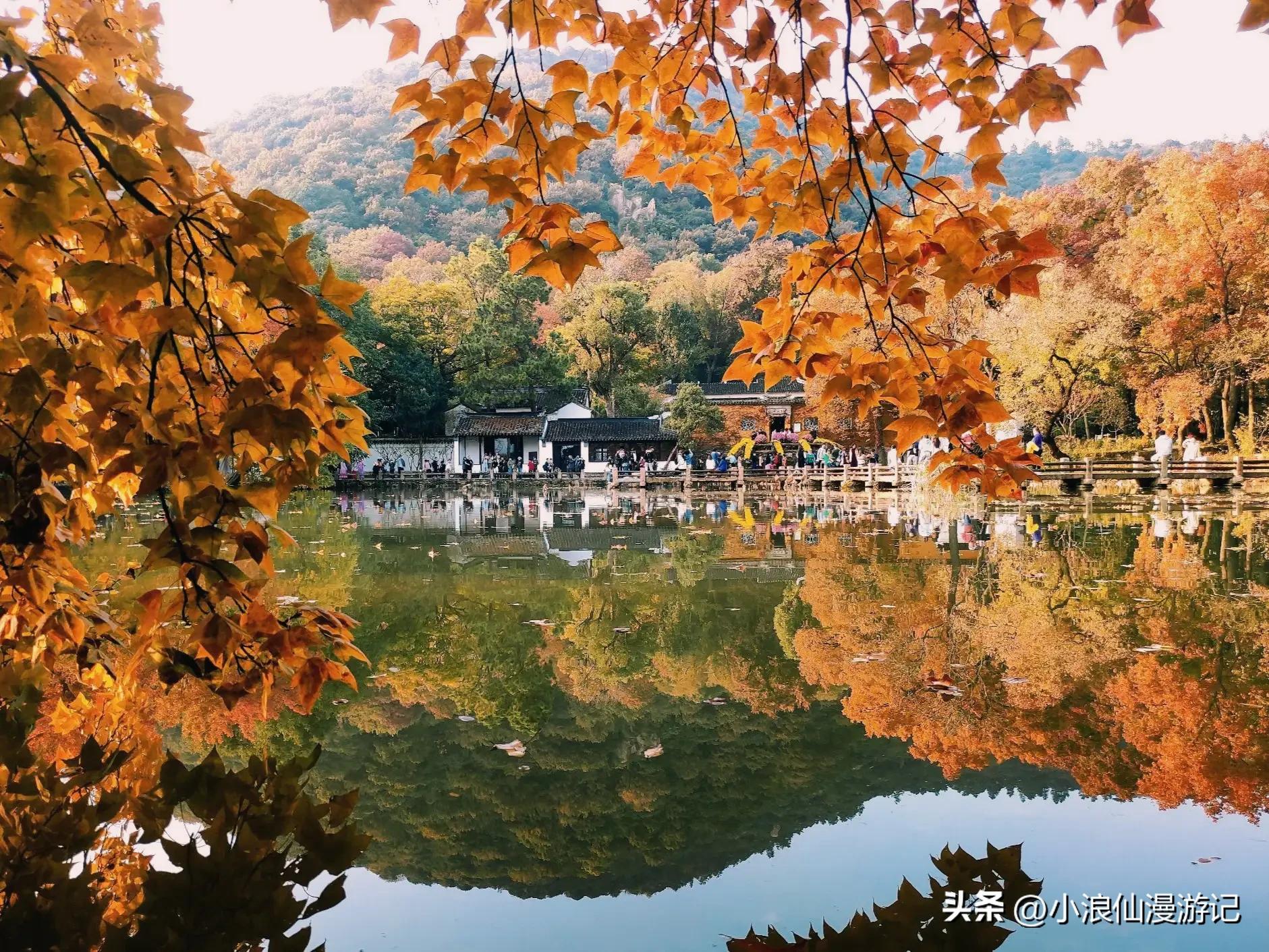 苏州天平山赏枫品茶的句子,苏州赏枫除了天平山还有哪
