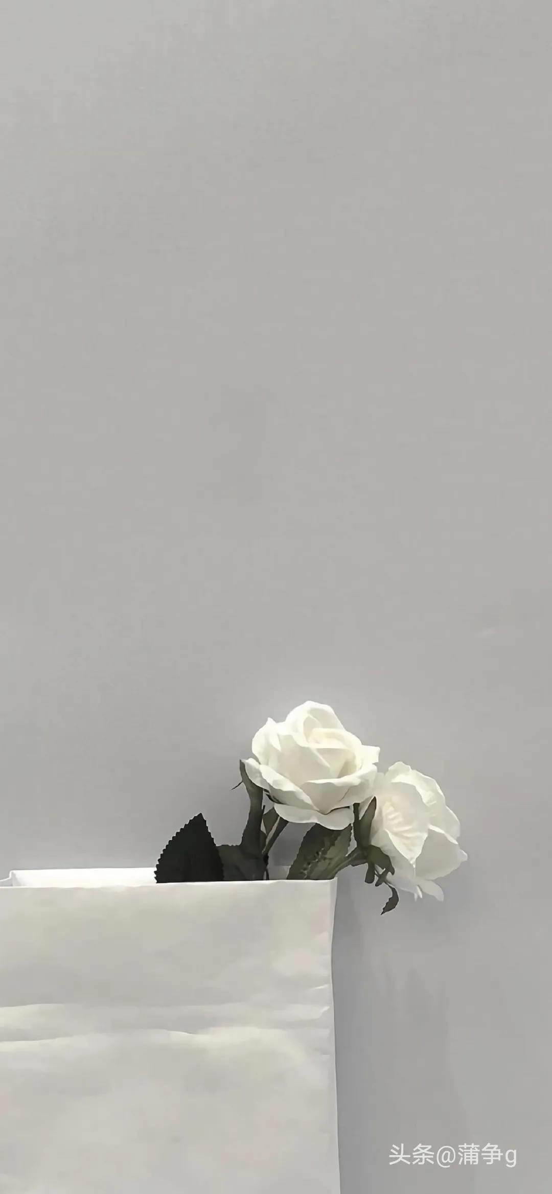 大学生并不是无所不能的,大学生真的是太难了处处碰壁