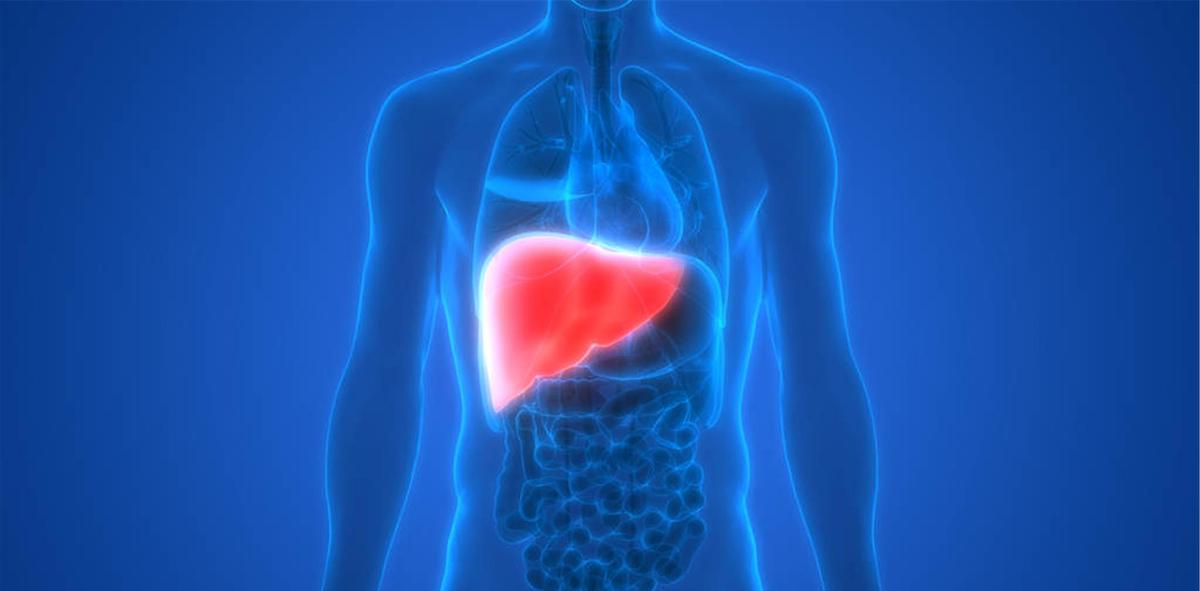 中草药导致亚急性肝衰竭,导致肝衰竭的中药