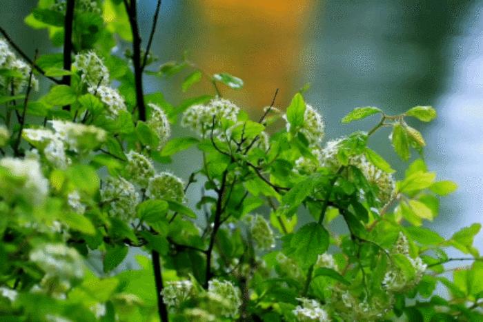 壁纸超清4k幸运壁纸,阴阳师壁纸动态壁纸高清全屏90帧