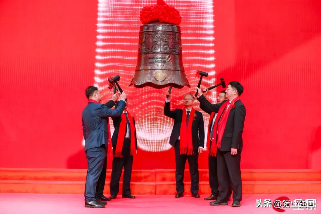 播恩饲料预计上市,播恩饲料上市了吗