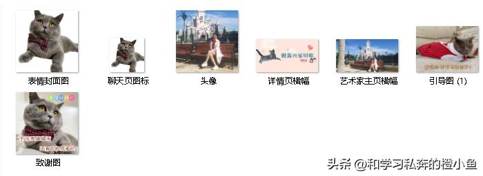 猫和老鼠动态表情包gif微信,乔杉搞笑动图gif微信表情包