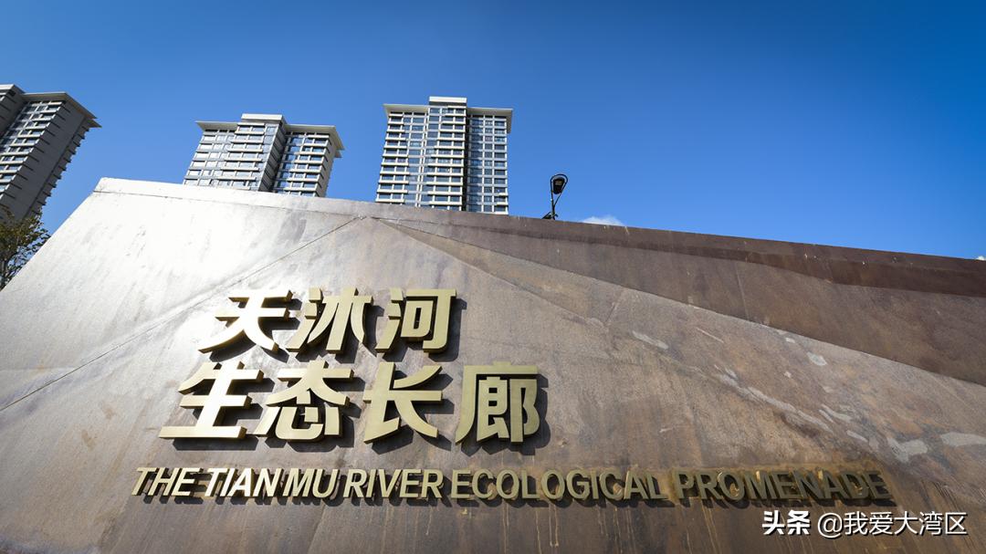 珠海春游赏花,珠海周边踏青景点