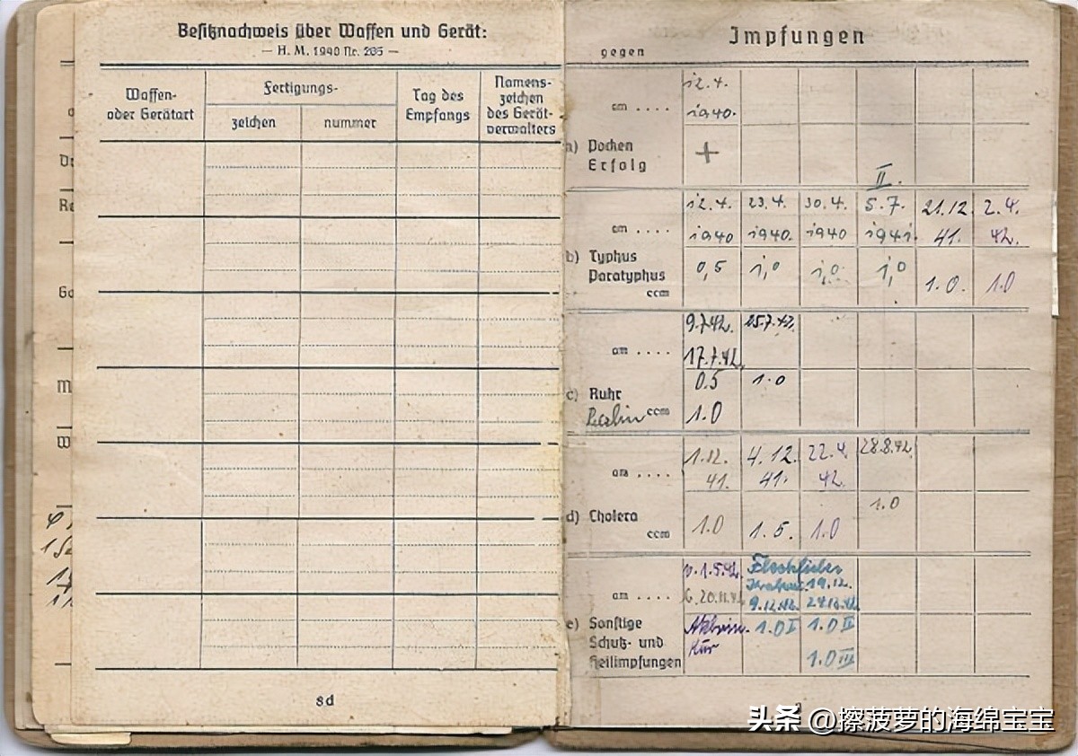二战时德国军人的肩章,二战德国兵种领章