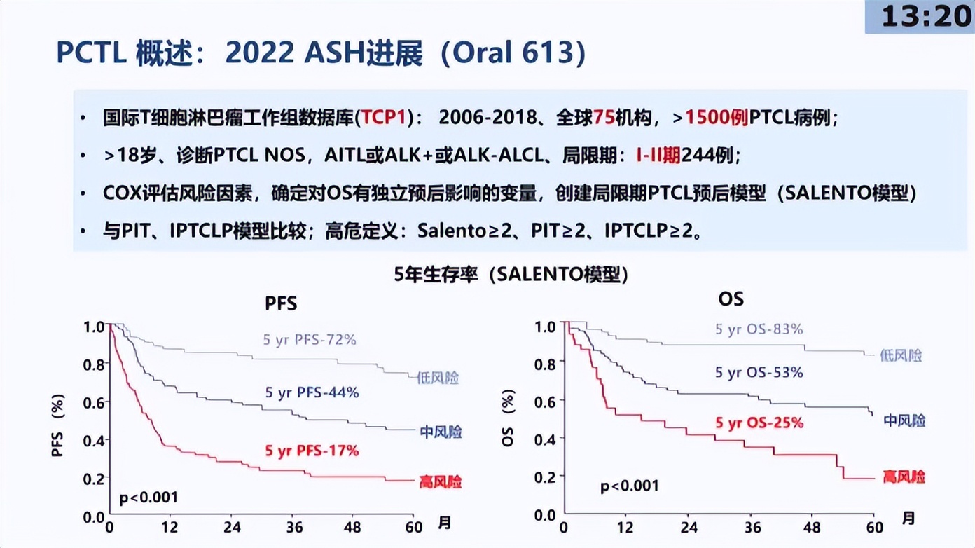 白鸥教授：外周T细胞淋巴瘤的最新治疗进展丨中国肿瘤内科大会