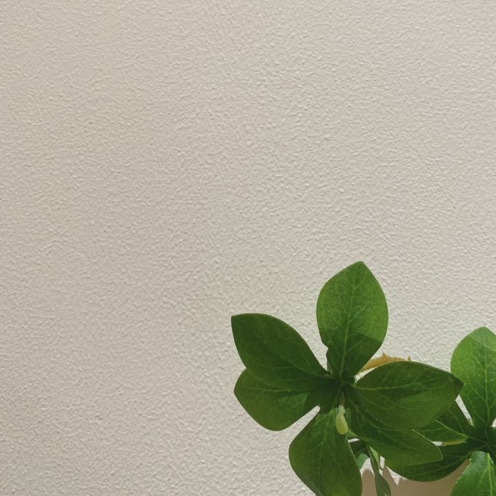 乳胶漆从底到面教程,乳胶漆在装修的哪一步