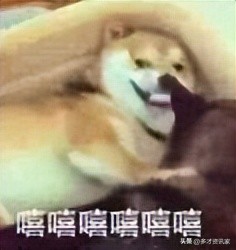 乌鸦坐飞机成龙历险记,乌鸦坐飞机小猴坐飞机