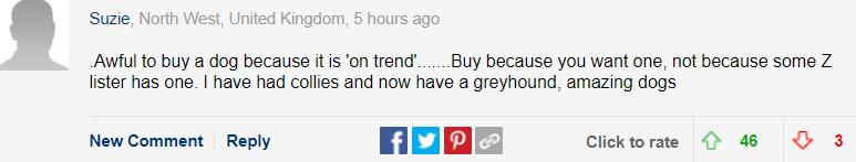 巴哥犬的优点有哪些方面,巴哥犬的优点和缺点及智商