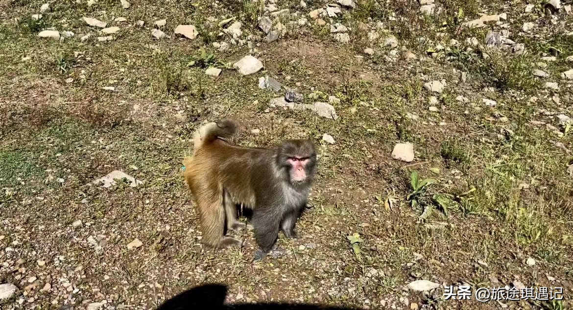 除了大海还有哪里美丽,川西必去和不去推荐