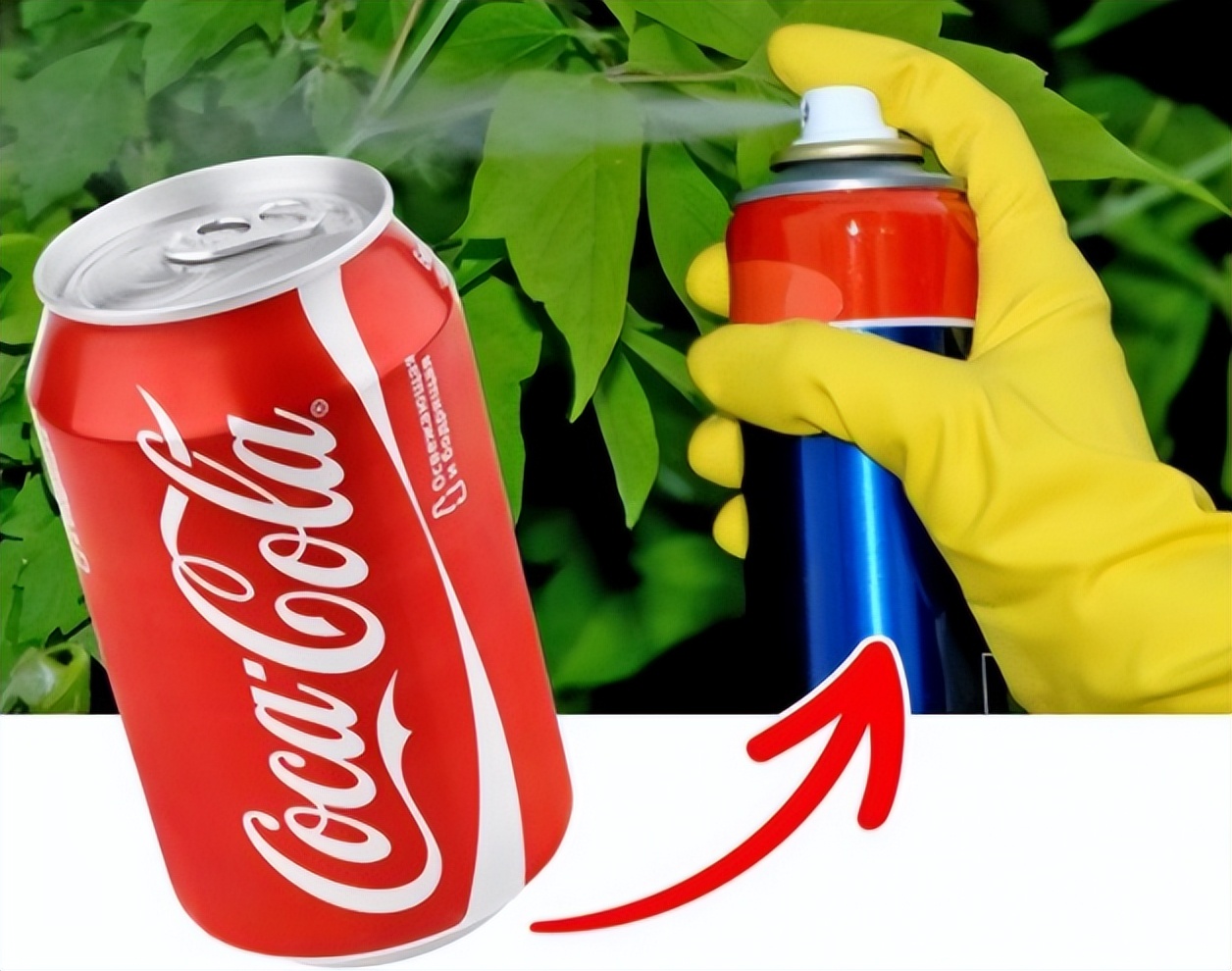 王传福比亚迪印度最新消息,印度比亚迪20亿元订单后续