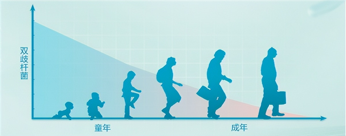 益生菌适合老人吗,老人益生菌奶粉口碑最好的前十名