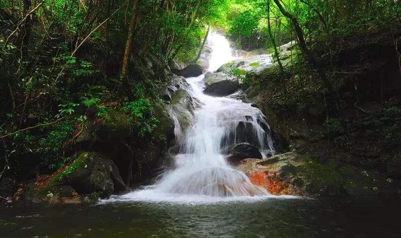 惠州柏塘罗浮山,惠州出发2天一夜旅游攻略图