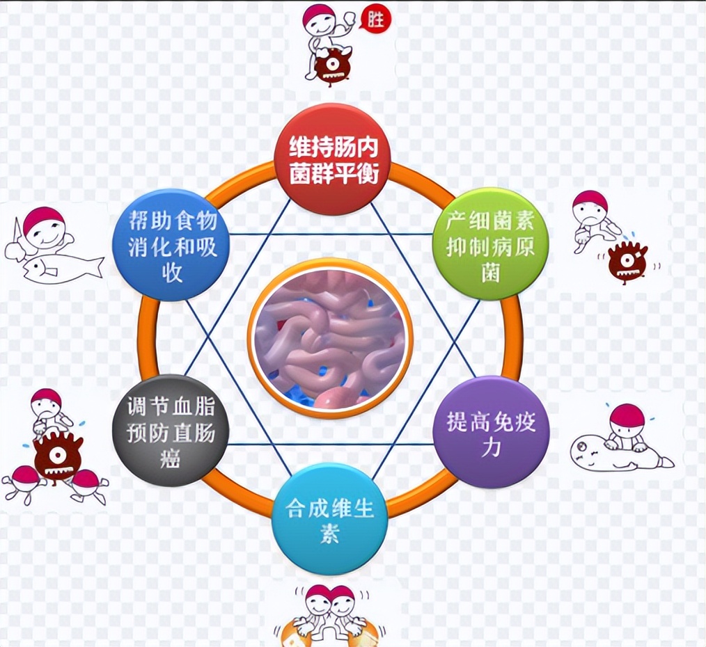 人体卫士和细菌大作战,人体卫士与细菌病毒大作战完整版