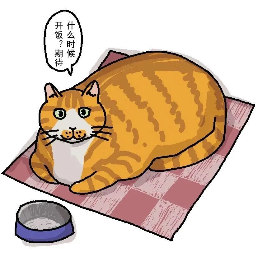 俄亥俄州有危险化学品泄漏,美国化学品泄漏猫粮还能买么