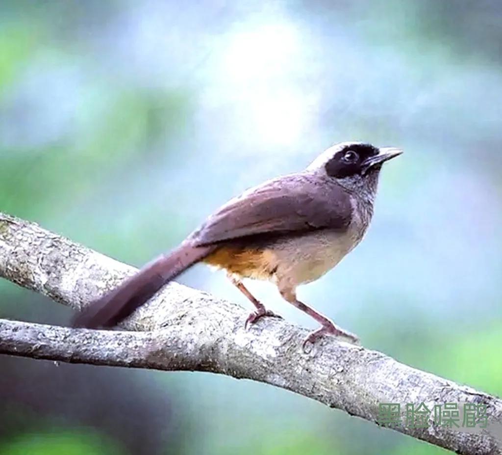 上海国际汽车城安亭,上海市嘉定区安亭国际汽车城