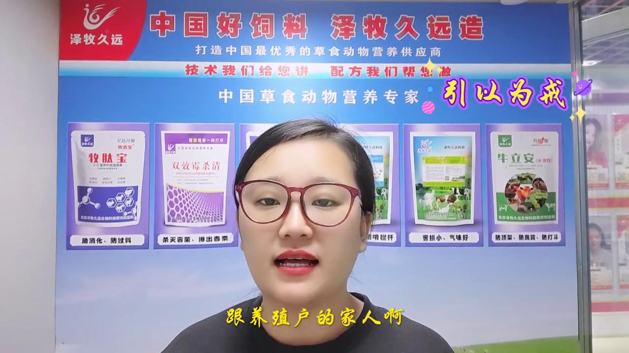 母牛难产而亡,养牛技术母牛难产助产成功