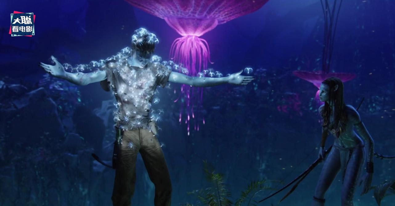 阿凡达解密,阿凡达2详细攻略大全