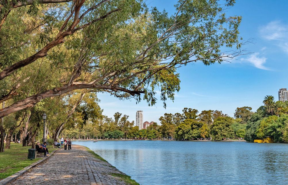 阿根廷实际状况,阿根廷当前情况视频