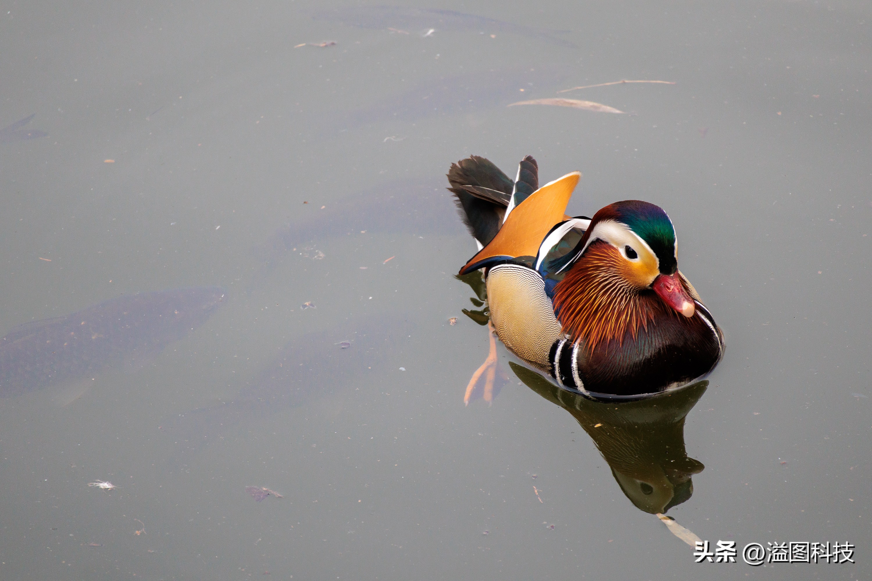 佳能rf-s55-210mm,和儿子感受大自然的气息和美景