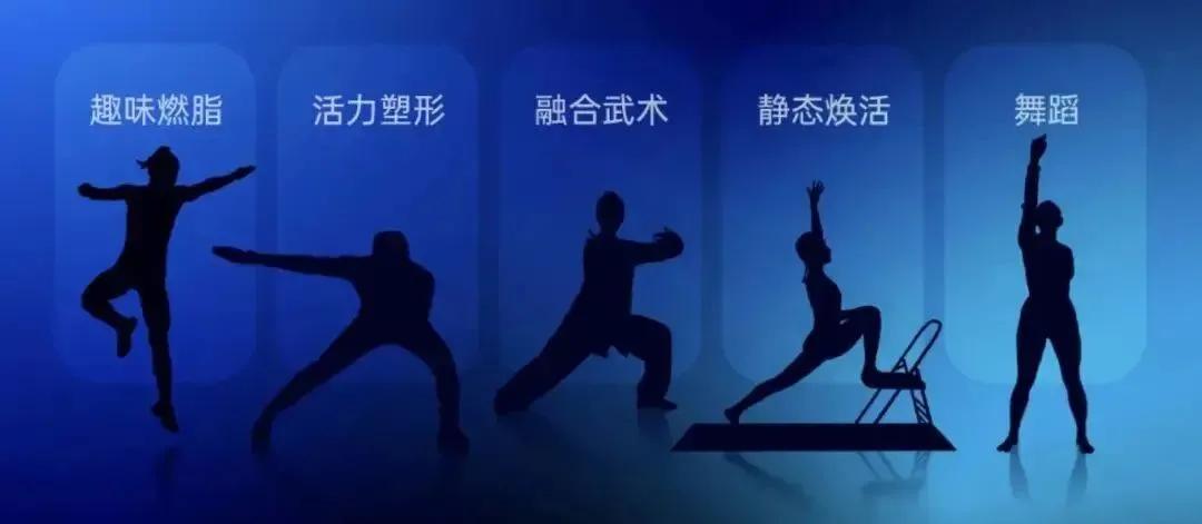 智能健身房技术 (健身房的智能化和数据化)