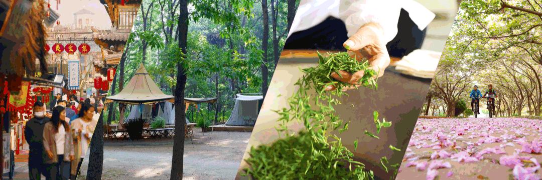 最美日照春暖花开,日照春暖花开旅游