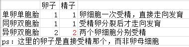 单卵双胞胎和双卵双胞胎的区别,单卵双胞胎异卵