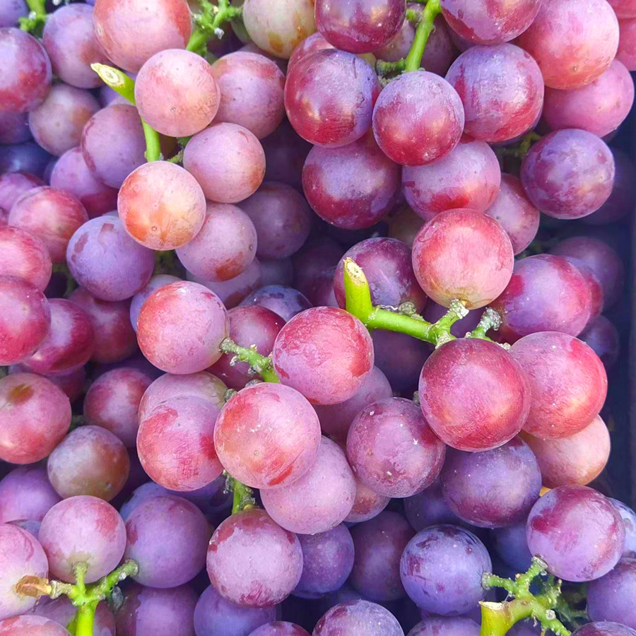 清明节给老人上坟有什么讲究,清明节上坟祭祀堂兄需要注意啥