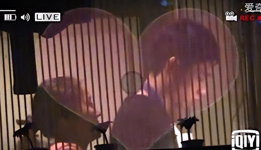 魏晨梗王稳定发挥,新晋梗王魏晨完整版