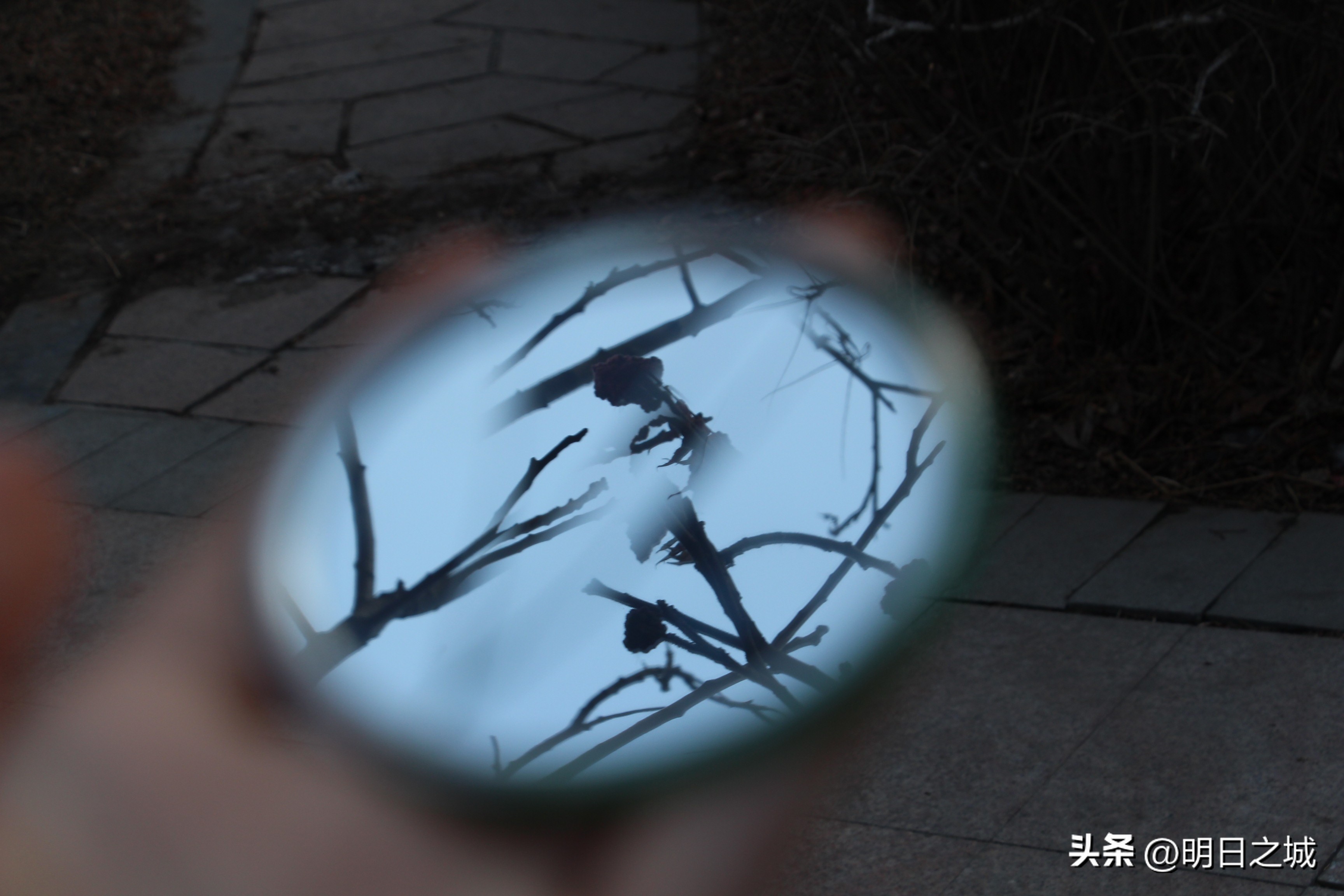 长春静不静？有点懵：发完“定心丸”，社区说了算？