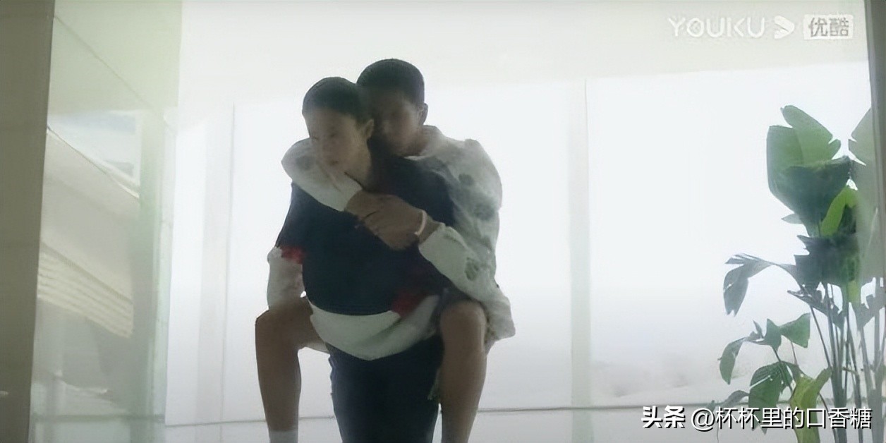 炽道王安宇和金晨引体向上,炽道王安宇和金晨在一起