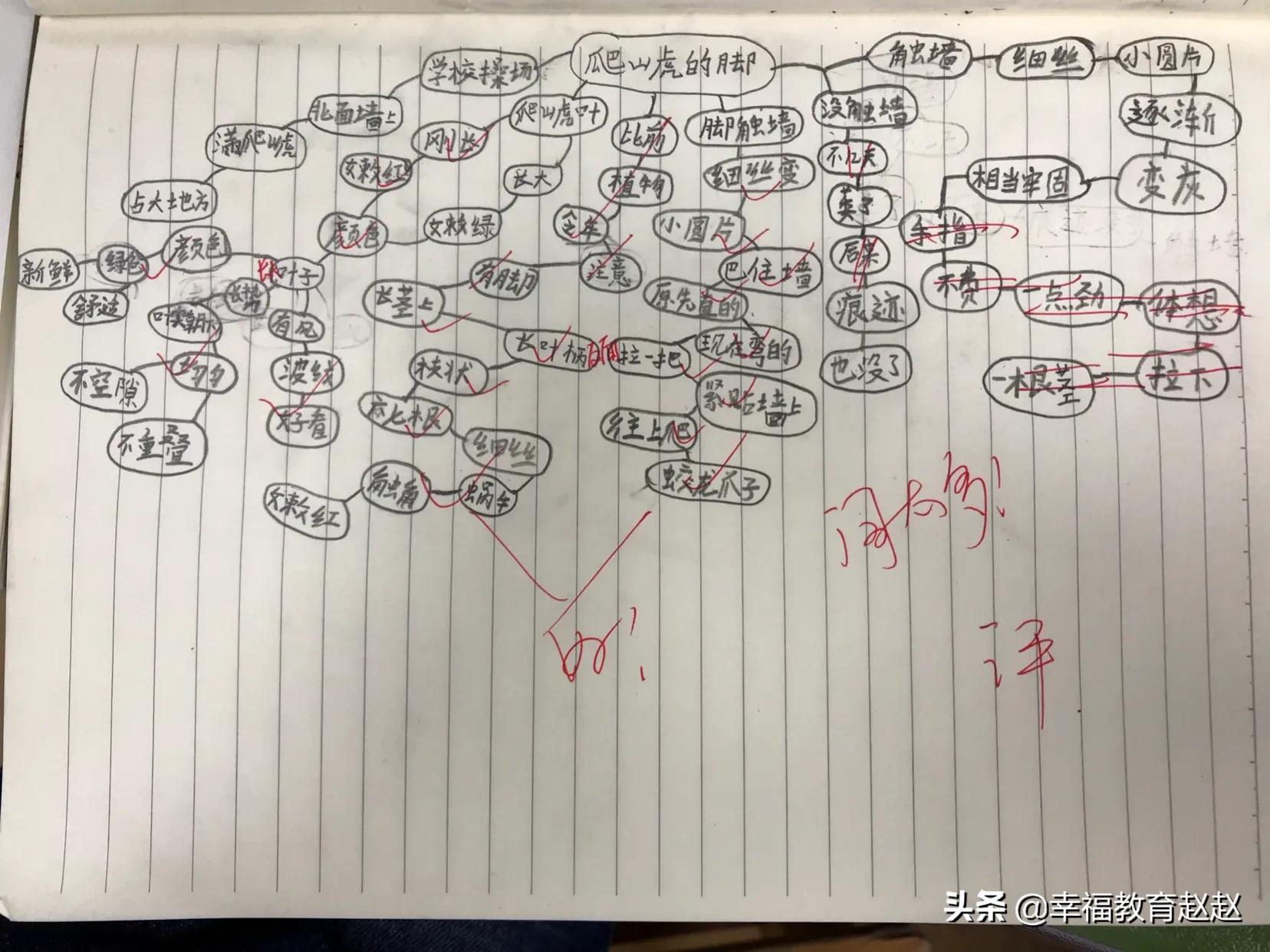 爬山虎的脚思维导图怎么画图片,爬山虎的脚思维导图绘画过程