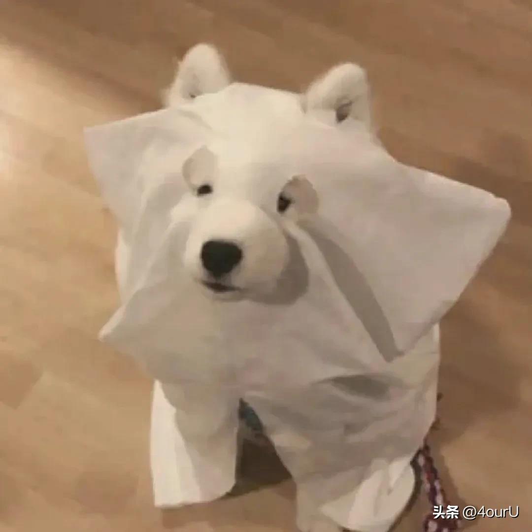 儿童笑到肚子痛的幽默38个笑话,听笑话笑到肚子疼超级爆笑