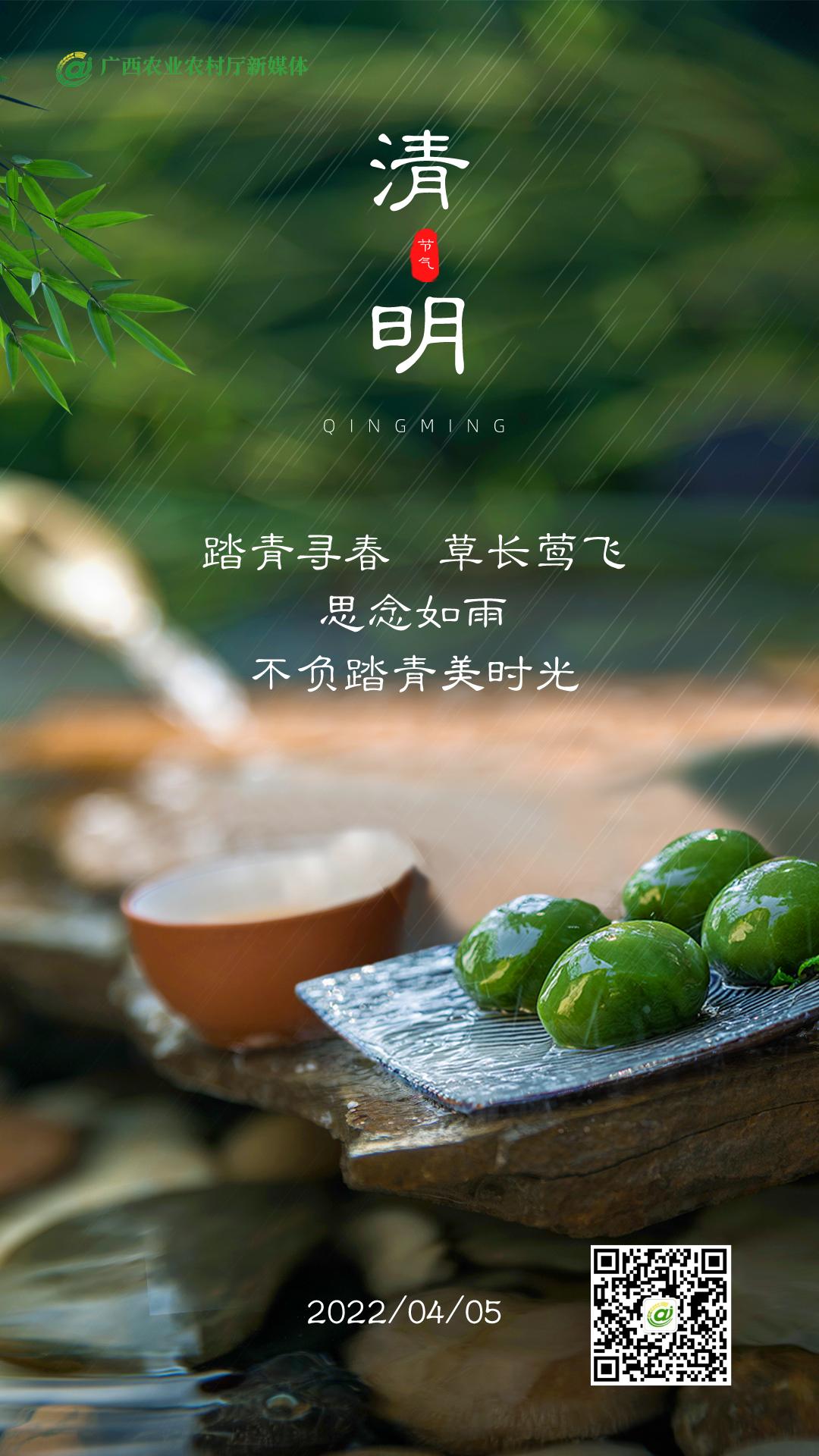 清明二十四节气歌,二十四节气清明舞蹈