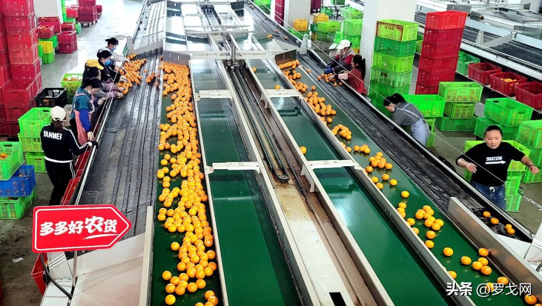 拼多多发展云计算,云时代手机