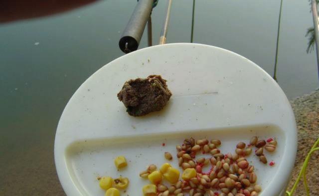 钓鲤鱼最新绝杀饵,钓鲤鱼用什么饵最好