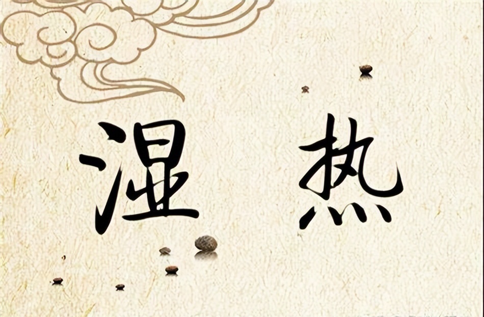 身体有湿热用什么中药调理,湿热煲什么汤祛湿热