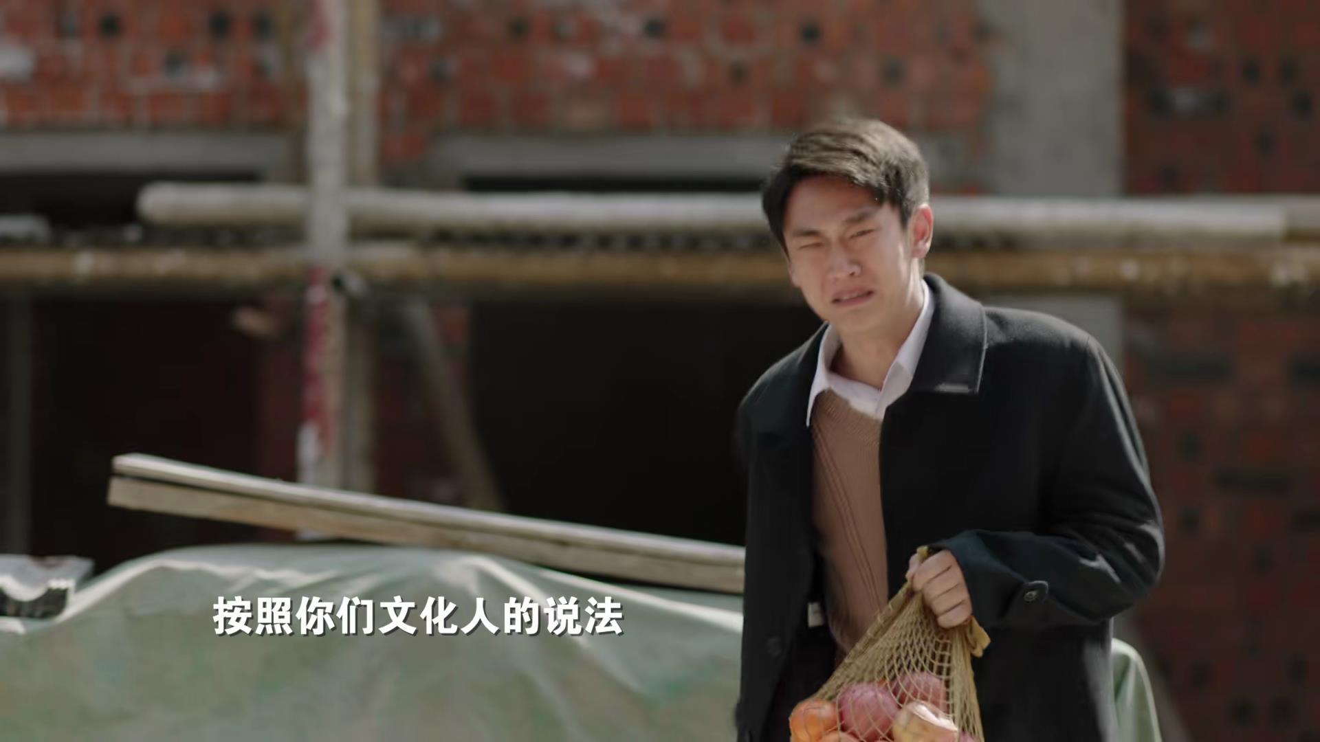 人生之路第几集高双星败露,人生之路大结局高加林打没打官司