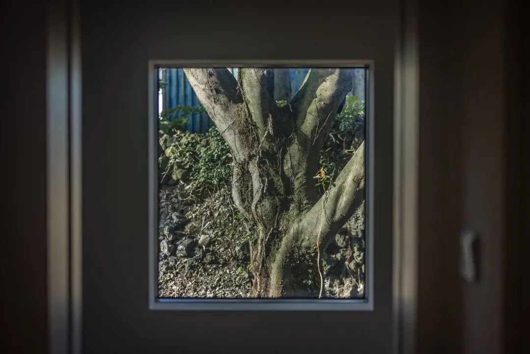 缙云归园居民宿客栈,古朴民宿设计