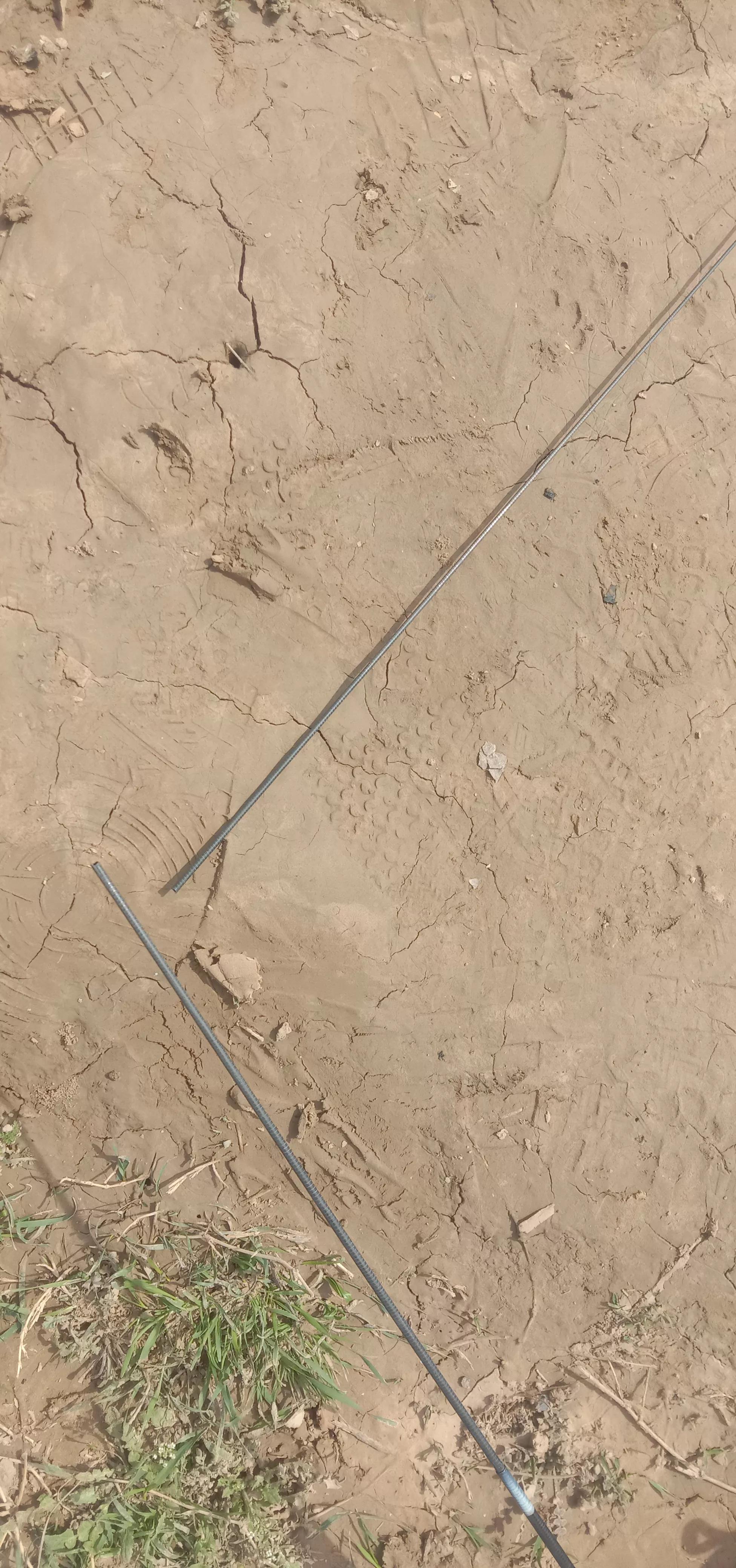 我买的鱼竿,钓鱼买一根鱼竿就够用了吧