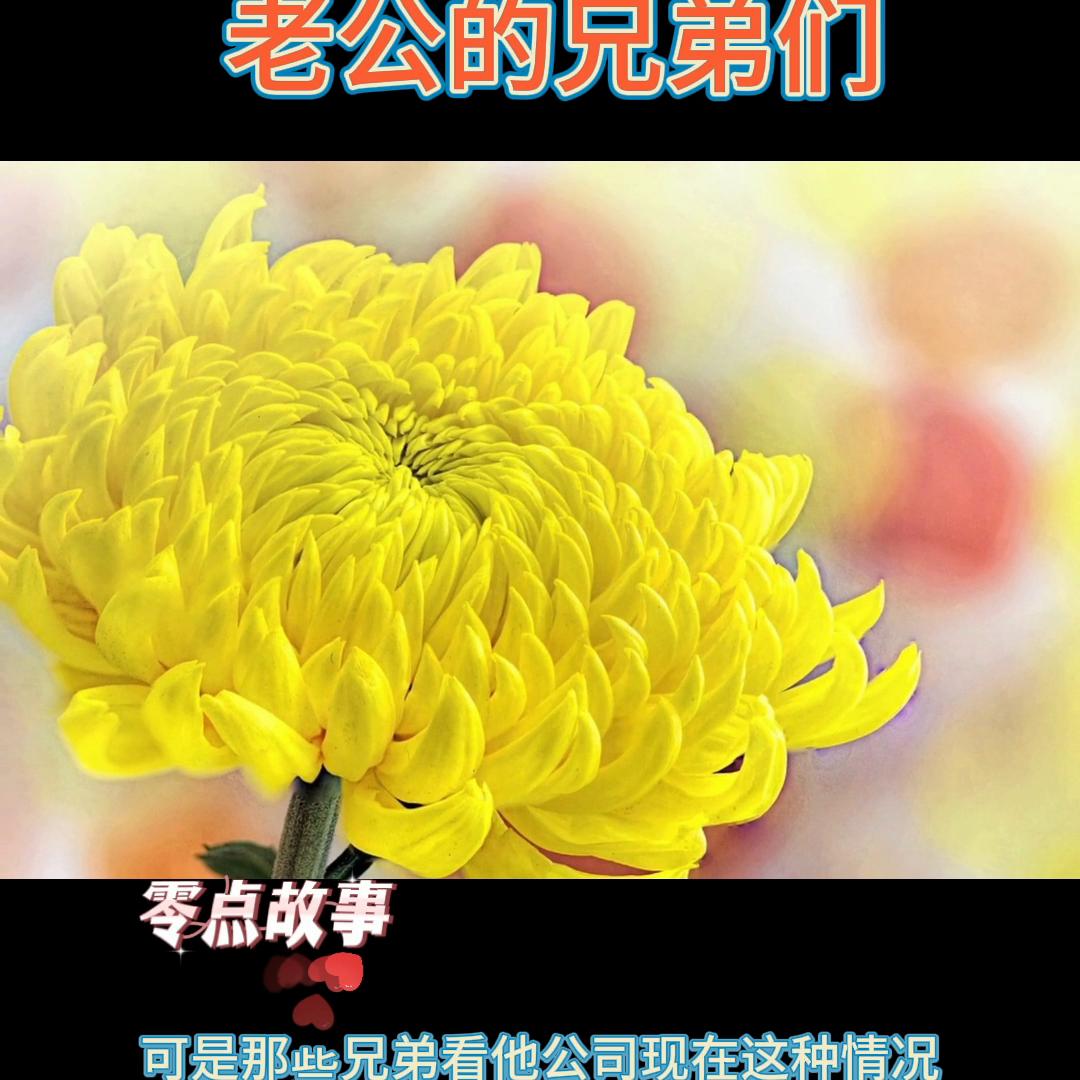 祝朋友开心快乐每一天祝福语 (祝朋友开心快乐的文案)