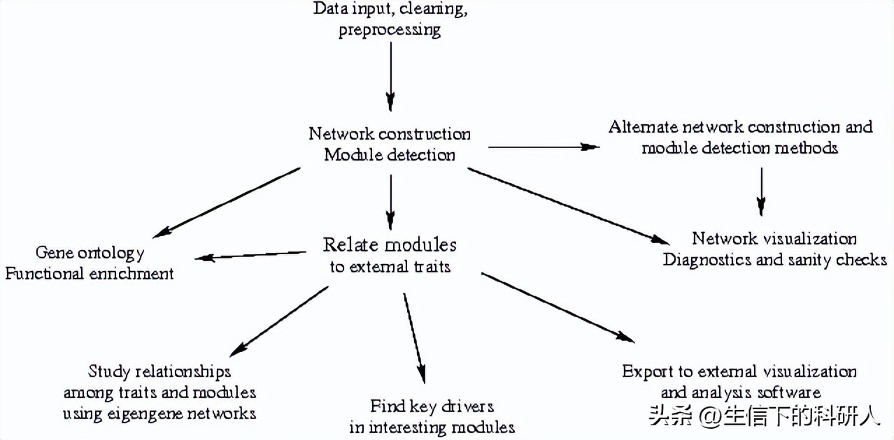 wgcna原理,wgcna是分析什么的