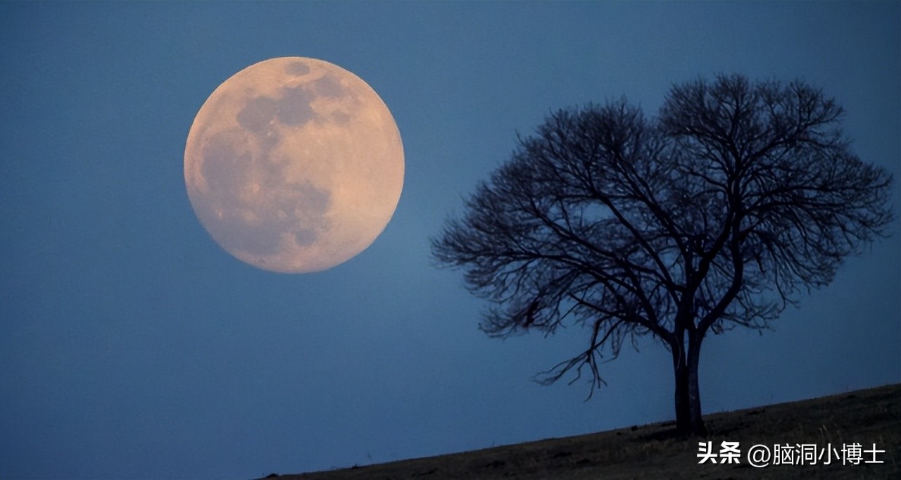 月球离地球近或远有什么影响,月球对地球有哪些作用和影响