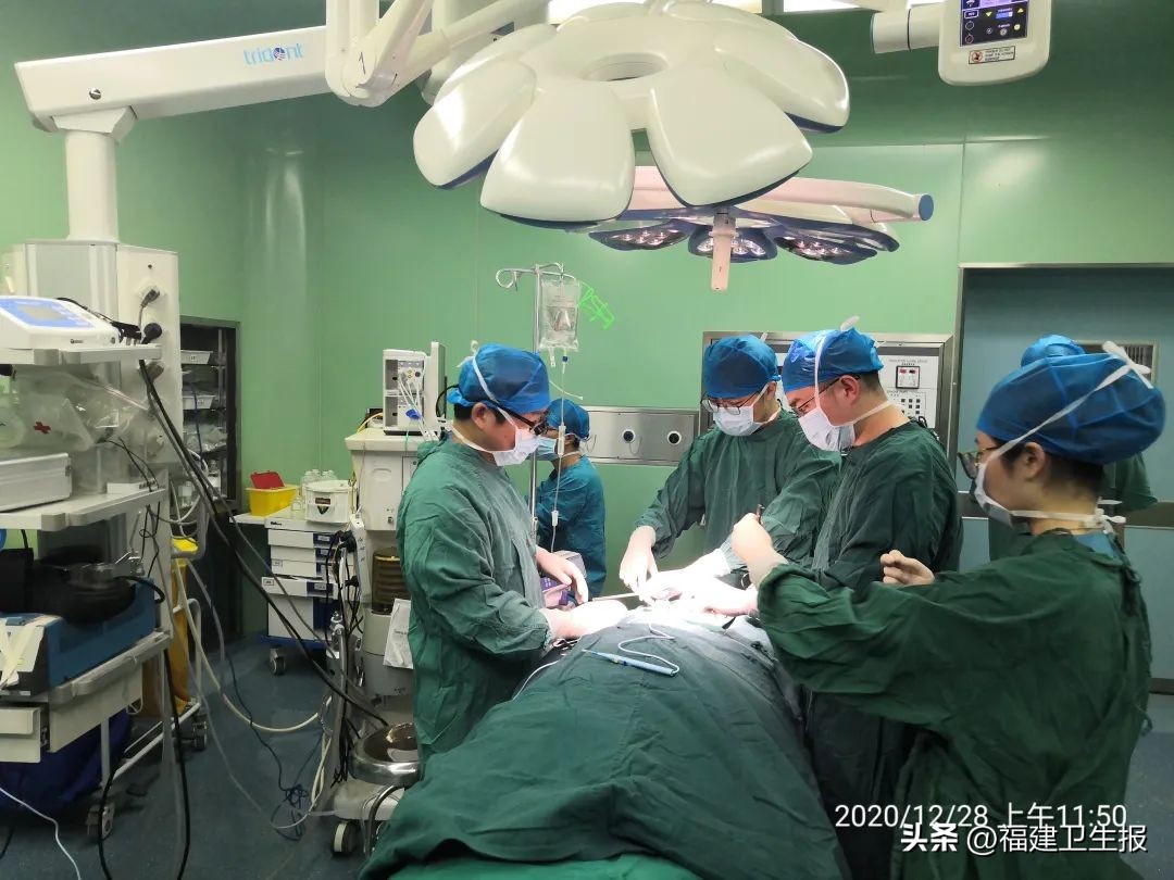 宁德师范学院人才引进,宁德师范博士人才引进