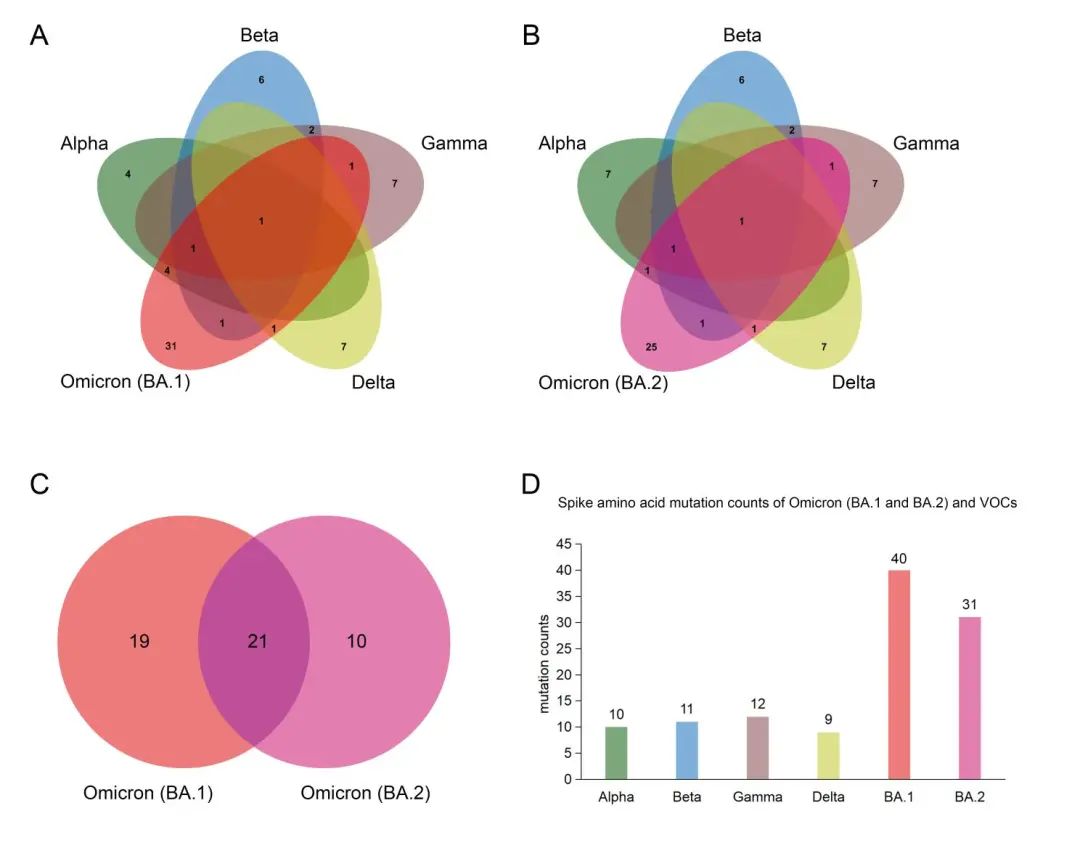 兰大预测本轮疫情将于4月初得到控制，奥密克戎发生多次跨变种基因重组丨新冠研究一周进展